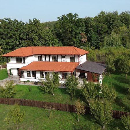 Pensiunea Emelys, Iasi Barnova Экстерьер фото