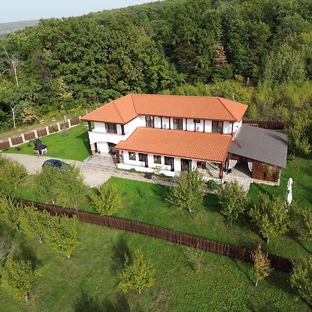 Pensiunea Emelys, Iasi Barnova Экстерьер фото