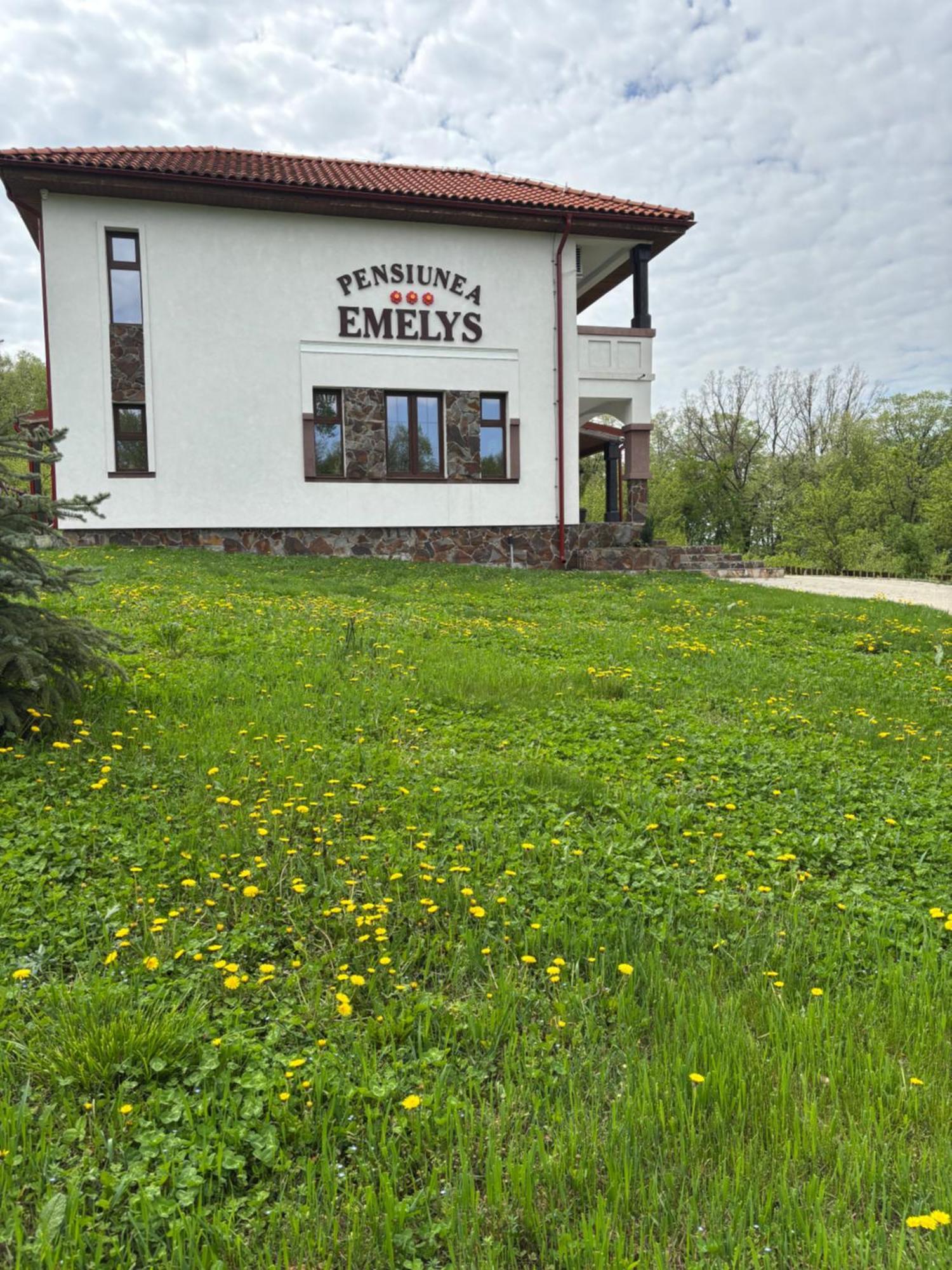 Pensiunea Emelys, Iasi Barnova Экстерьер фото